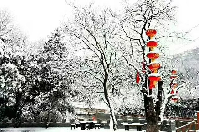 銀色高貴的裙裾，徐徐轉(zhuǎn)出優(yōu)美的芭蕾舞姿，涼爽和舒適瞬間溫柔擁你入懷！-瑞泰風(fēng)工業(yè)大風(fēng)扇