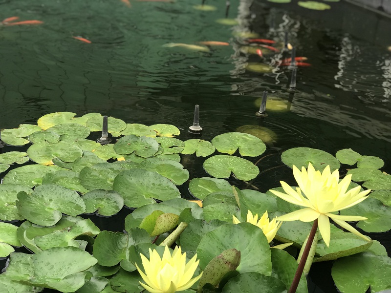 高大空間工廠廠房車間通風(fēng)降溫的工業(yè)風(fēng)扇工業(yè)吊扇大型工業(yè)風(fēng)扇就找湖北瑞兆！