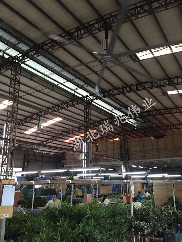 大型工業(yè)吊扇，效果好且省錢