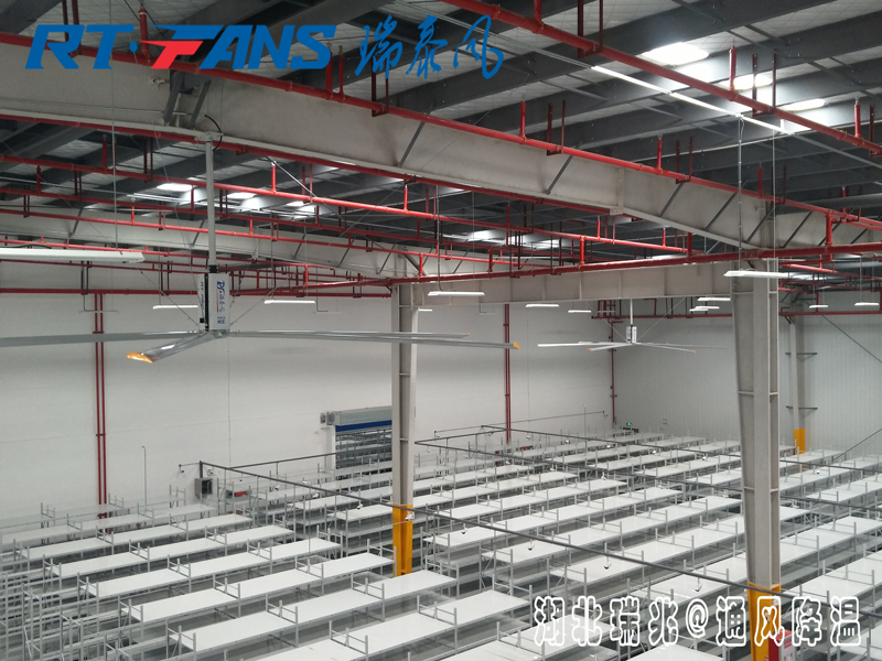 工業(yè)大風(fēng)扇具體的通風(fēng)降溫效果怎么樣，有什么作用呢